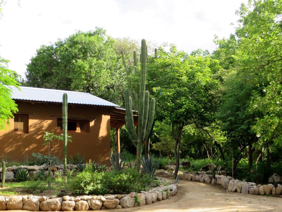 El Pedregal - Hotel En La Naturaleza Álamos Екстериор снимка