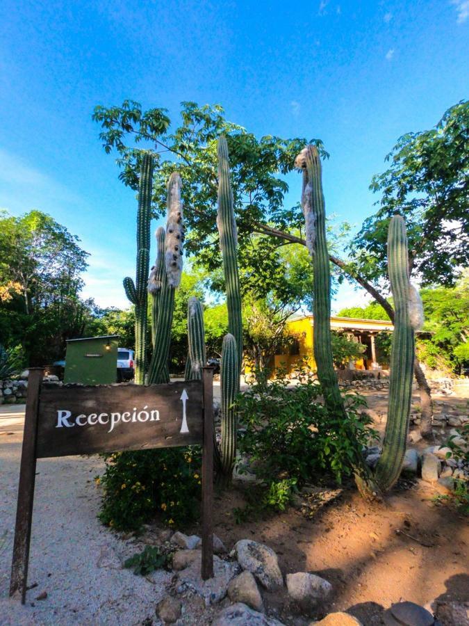 El Pedregal - Hotel En La Naturaleza Álamos Екстериор снимка